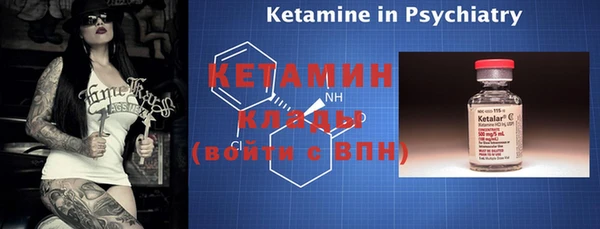 ГАЛЛЮЦИНОГЕННЫЕ ГРИБЫ Тайга