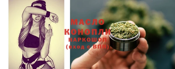 сатива Сясьстрой